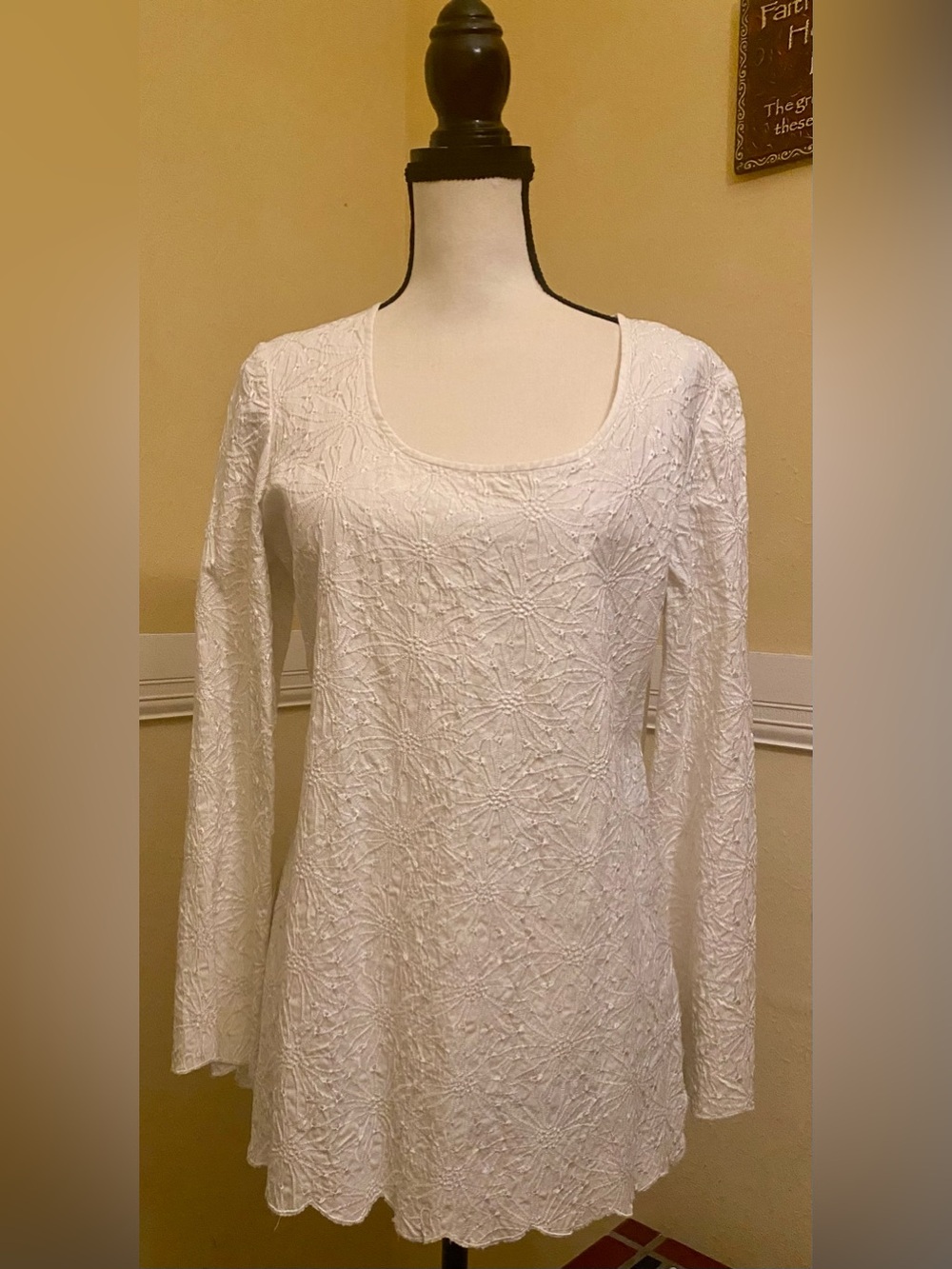 HOT IN HOLLYWOOD White Long-Sleeve Embroidered Scoop Neck Top; Large